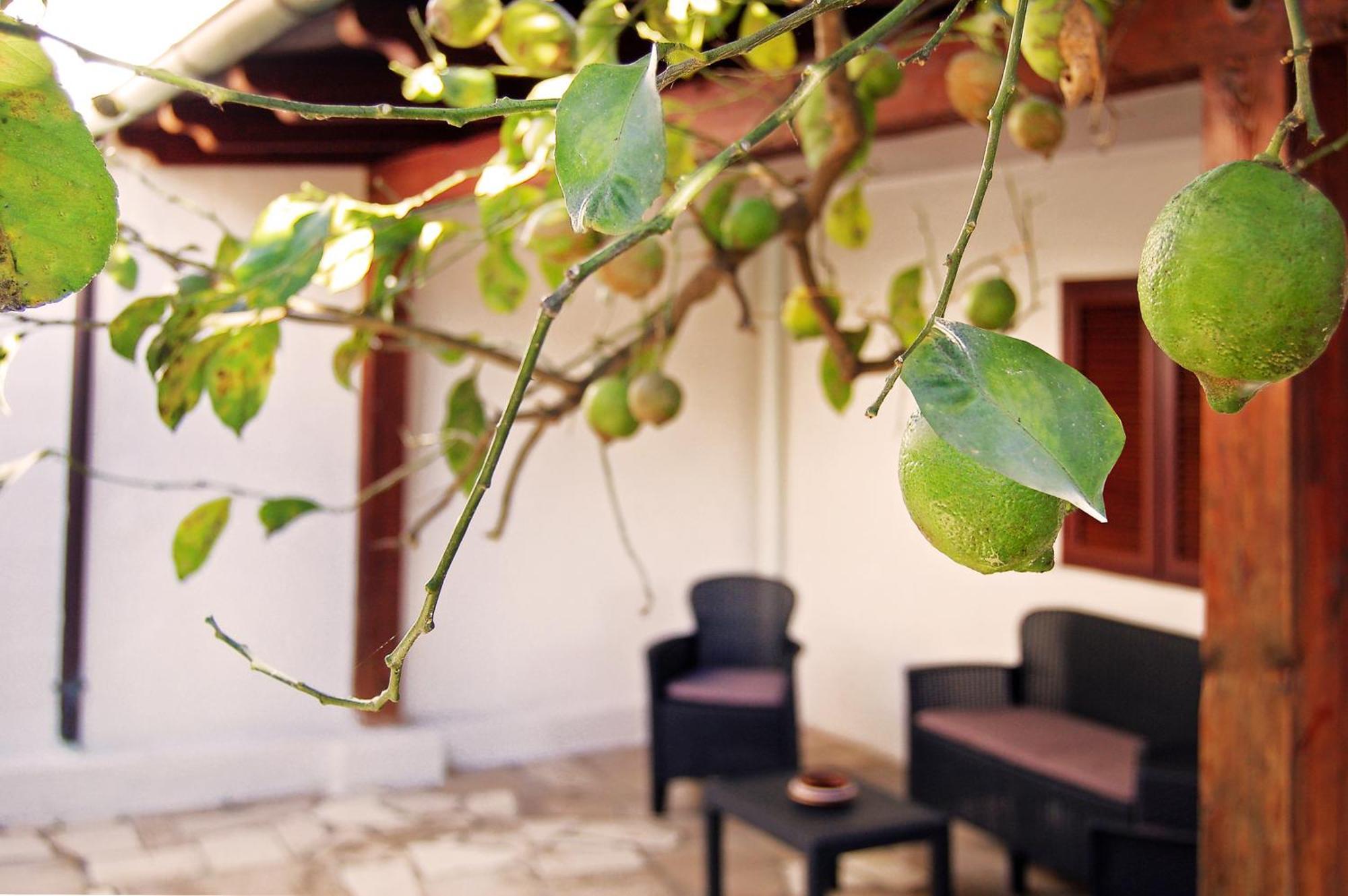 Sea Breeze Villa - Luna Apartment Bari Bagian luar foto